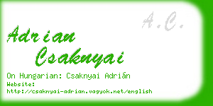 adrian csaknyai business card